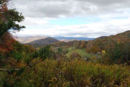 Wild-Food Foraging and Harvesting Beneath September’s ‘Apple Moon’ Image